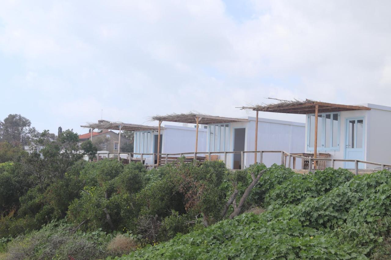 Summer Dream Cyprus Maroni Exterior photo