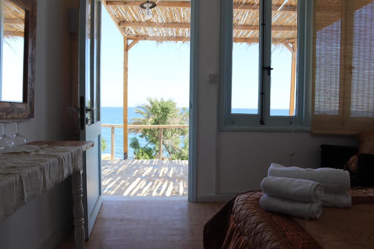 Summer Dream Cyprus Maroni Exterior photo