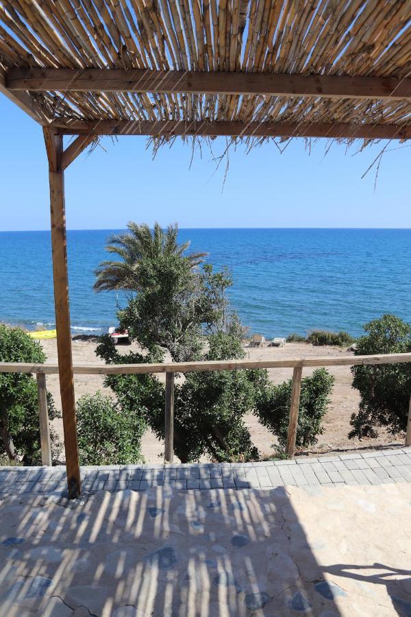 Summer Dream Cyprus Maroni Exterior photo