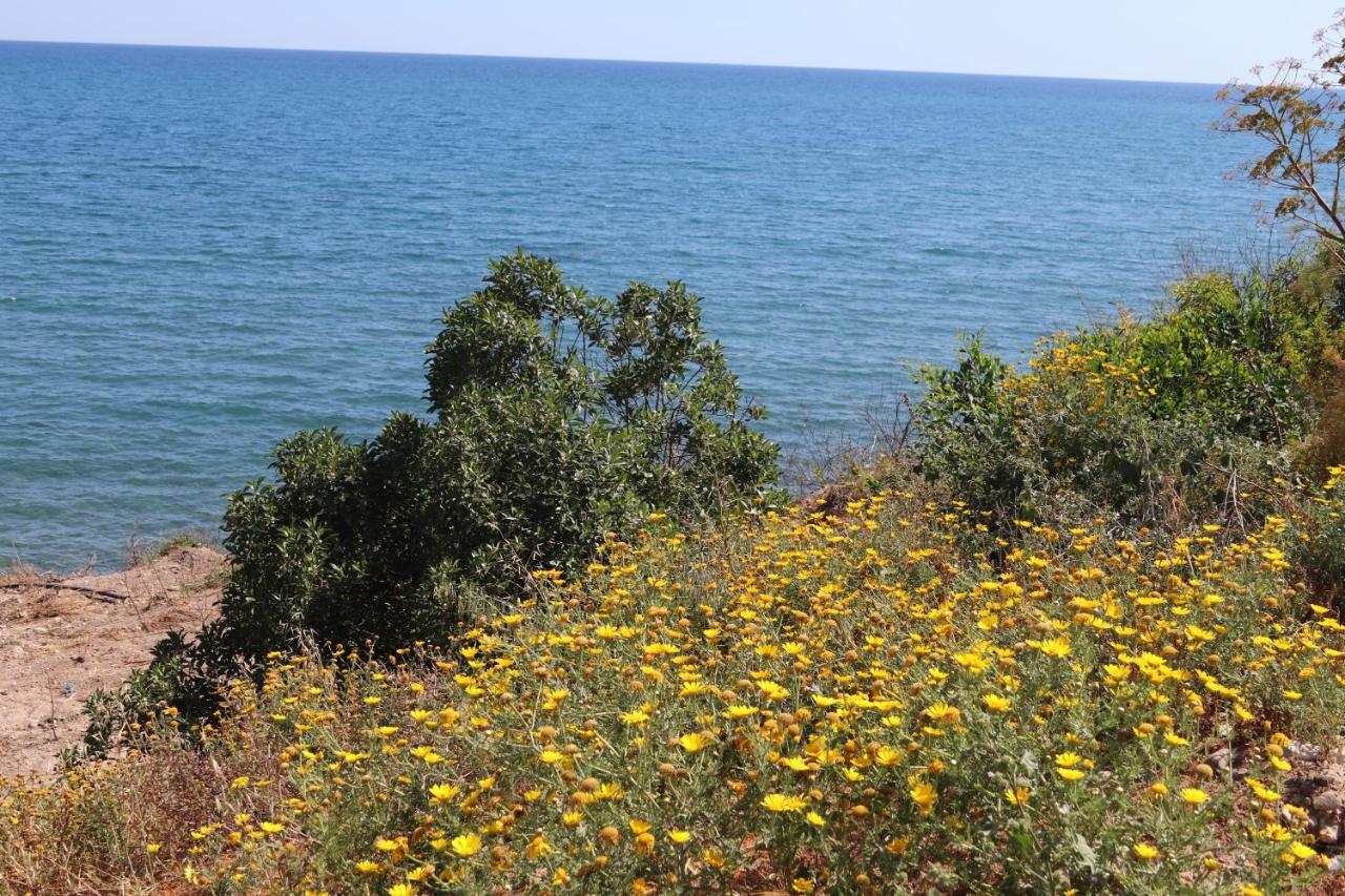 Summer Dream Cyprus Maroni Exterior photo