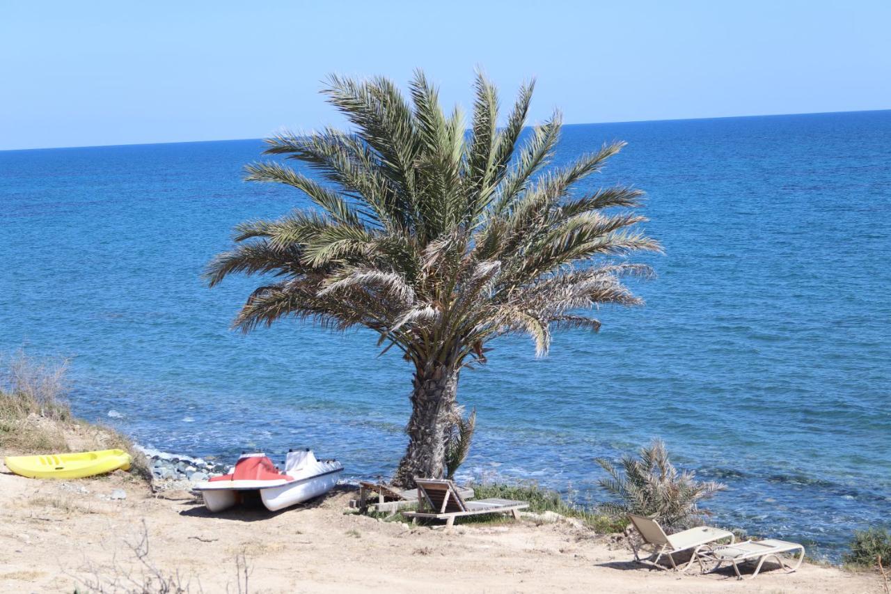 Summer Dream Cyprus Maroni Exterior photo