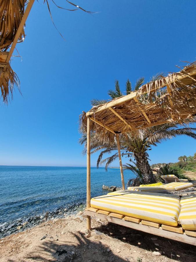 Summer Dream Cyprus Maroni Exterior photo
