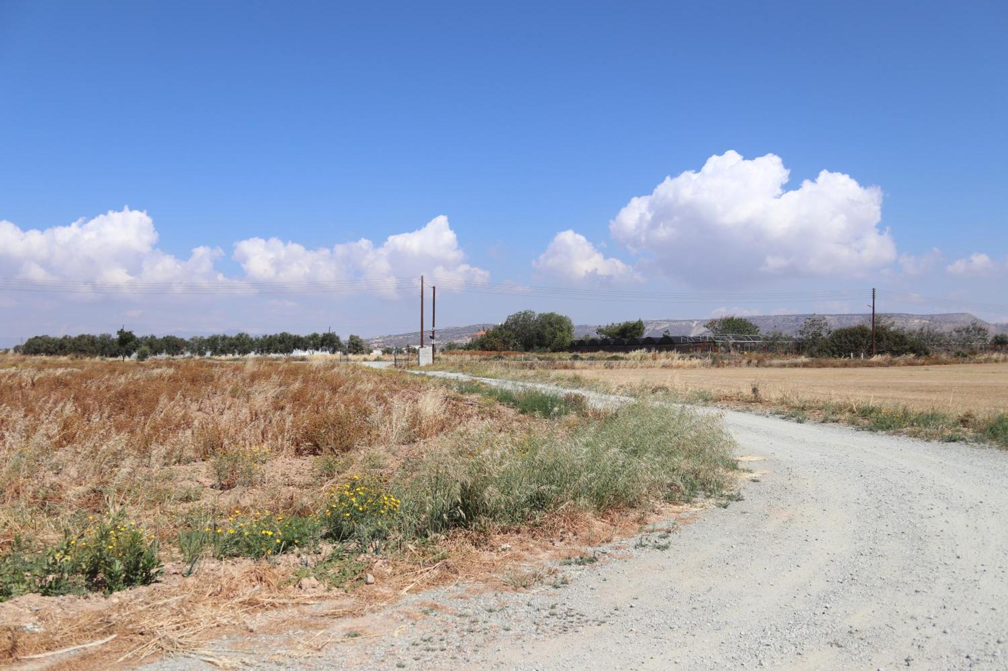 Summer Dream Cyprus Maroni Exterior photo