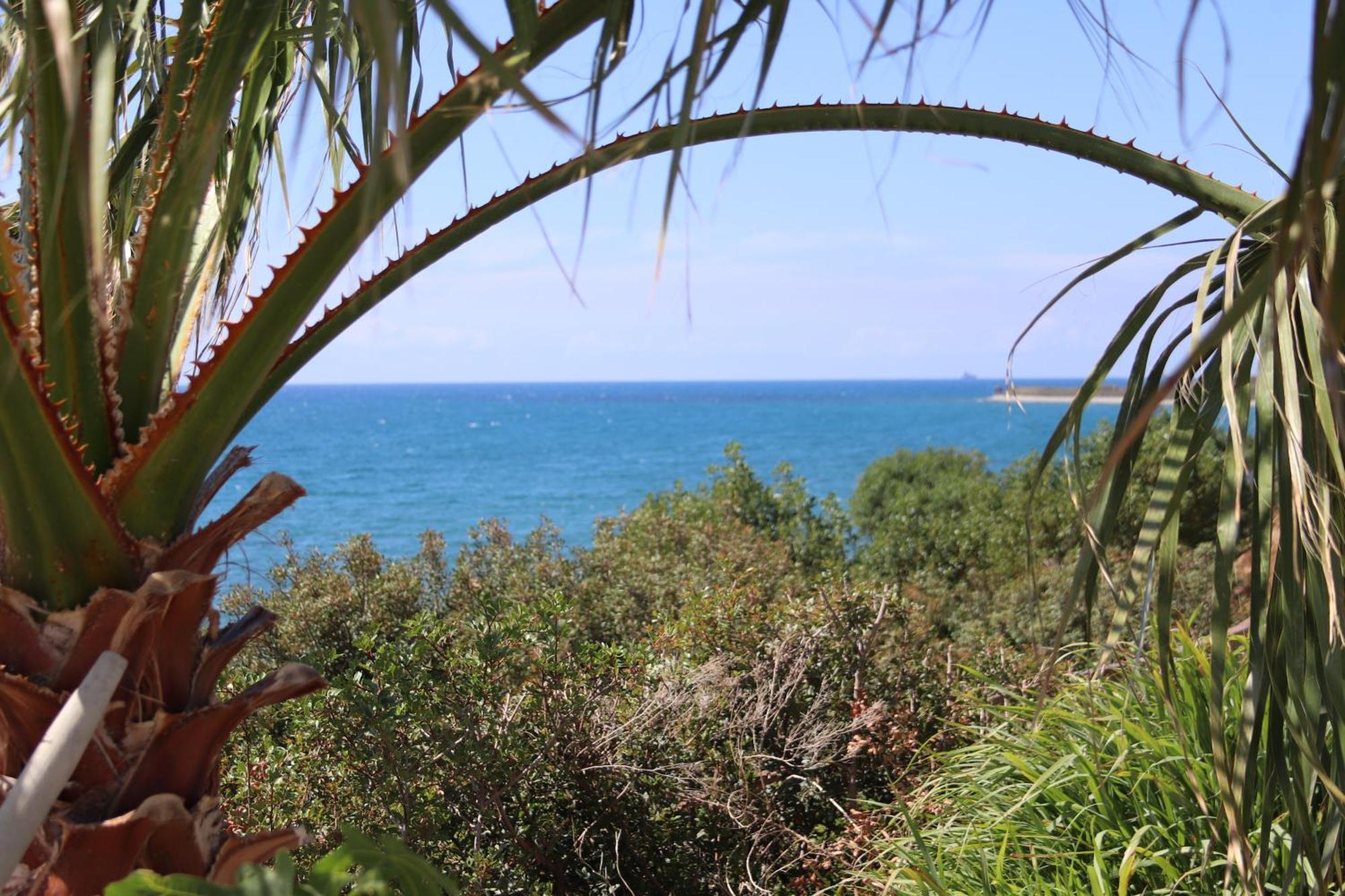 Summer Dream Cyprus Maroni Exterior photo